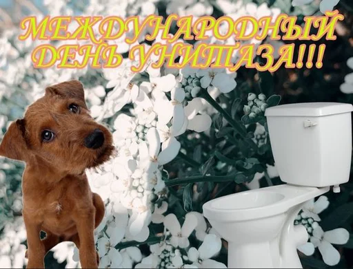 🚽 Стикер «С днем ...» для Telegram
