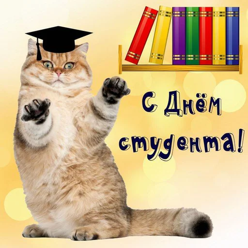 📚 Стикер «С днем 2 ...» для Telegram