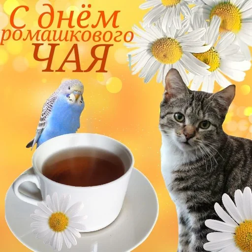 ☕️ Стикер «С днем 2 ...» для Telegram