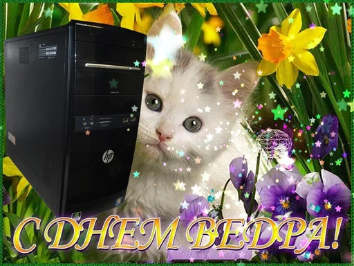 🪣 Стикер «С днем 2 ...» для Telegram