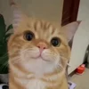😁 Эмодзи «Кисы» для Telegram