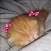 🎀 Эмодзи «Кисы» для Telegram