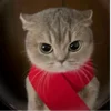 😡 Эмодзи «Кисы» для Telegram
