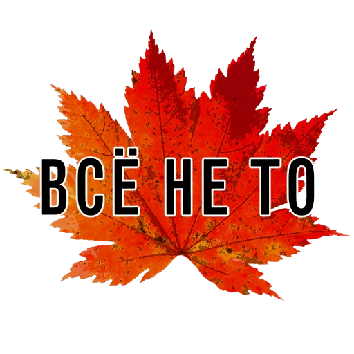Стикерпак 3 сентября поют все для Telegram — скачать