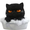 🛀 Эмодзи «Угрюмый кот» для Telegram