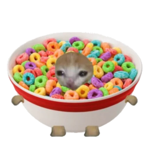 🥣 Стикер «Типо коты еда» для Telegram