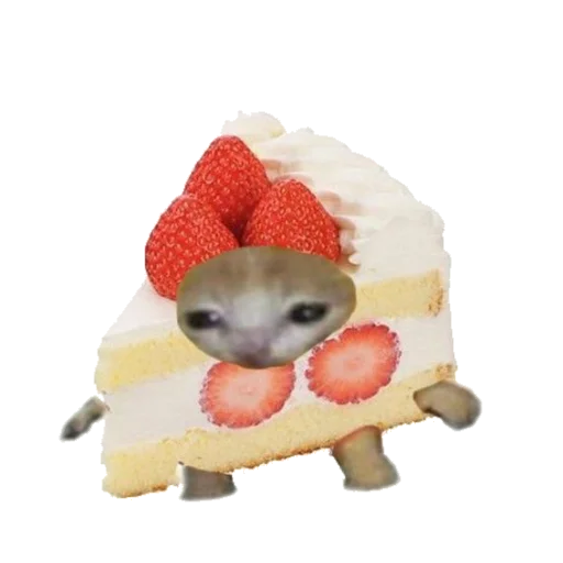 🍰 Стикер «Типо коты еда» для Telegram
