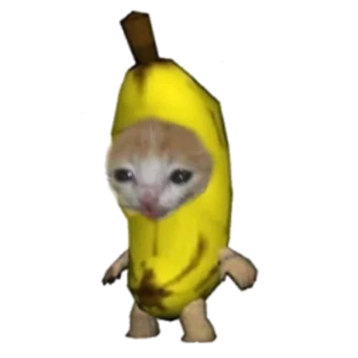 🍌 Стикер «Типо коты еда» для Telegram
