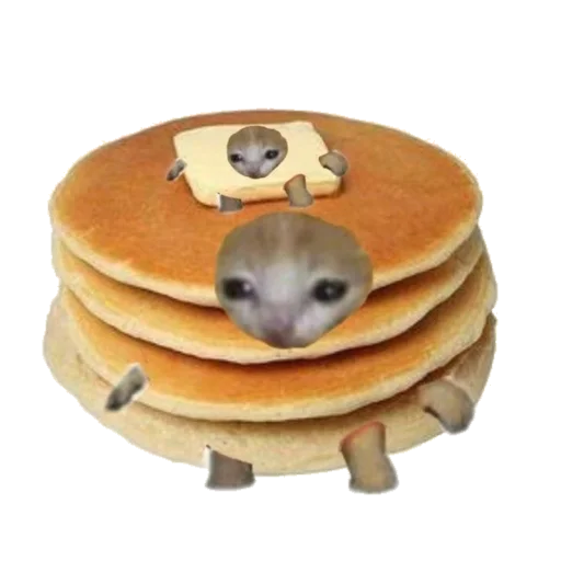 🥞 Стикер «Типо коты еда» для Telegram