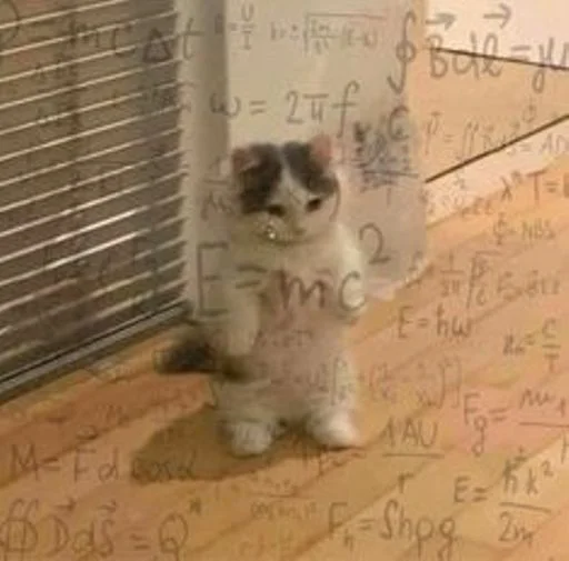 🐱 Стикер «cat_ip» для Telegram