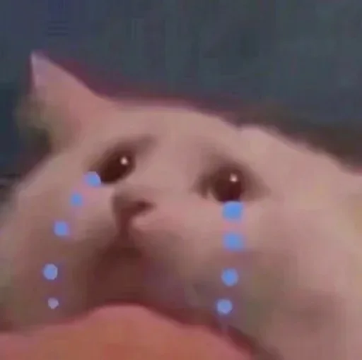 🥺 Стикер «Pussys» для Telegram