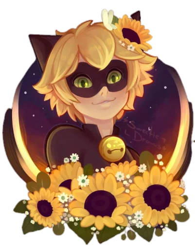 😺 Стикер «Cat Noir - Miraculous» для Telegram