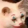 🤡 Эмодзи «👍 Котопак эмодзи» для Telegram