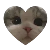 🩷 Эмодзи «👍 Котопак эмодзи» для Telegram
