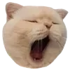 😴 Эмодзи «👍 Котопак эмодзи» для Telegram