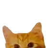 👀 Эмодзи «👍 Котопак эмодзи» для Telegram