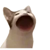 😮 Эмодзи «👍 Котопак эмодзи» для Telegram