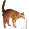 🔞 Эмодзи «👍 Котопак эмодзи» для Telegram