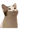 🙂 Эмодзи «👍 Котопак эмодзи» для Telegram