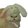 🤬 Эмодзи «👍 Котопак эмодзи» для Telegram