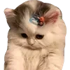 🙈 Эмодзи «👍 Котопак эмодзи» для Telegram