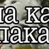 😻 Эмодзи «👍 Котопак эмодзи» для Telegram