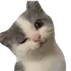 😉 Эмодзи «👍 Котопак эмодзи» для Telegram