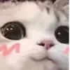 😳 Эмодзи «👍 Котопак эмодзи» для Telegram