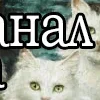 😻 Эмодзи «👍 Котопак эмодзи» для Telegram