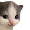 🥹 Эмодзи «👍 Котопак эмодзи» для Telegram