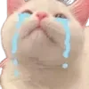 😭 Эмодзи «👍 Котопак эмодзи» для Telegram