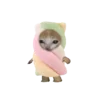 👍 Эмодзи «Cat on food» для Telegram