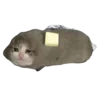 😍 Эмодзи «Cat on food» для Telegram