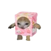 🥳 Эмодзи «Cat on food» для Telegram