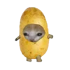 🥴 Эмодзи «Cat on food» для Telegram