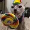 😺 Эмодзи «Cats (2)» для Telegram