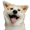 🤩 Эмодзи «cats dogs» для Telegram