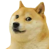 🤩 Эмодзи «cats dogs» для Telegram