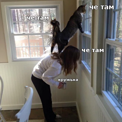🕵️ Стикер «Котики ревьюверы» для Telegram