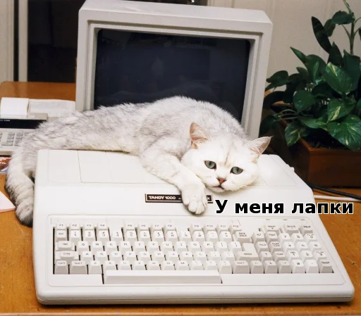🐾 Стикер «Котики ревьюверы» для Telegram