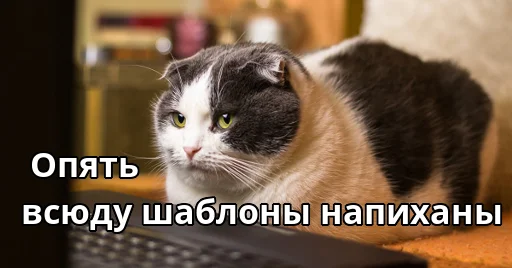 😠 Стикер «Котики ревьюверы» для Telegram