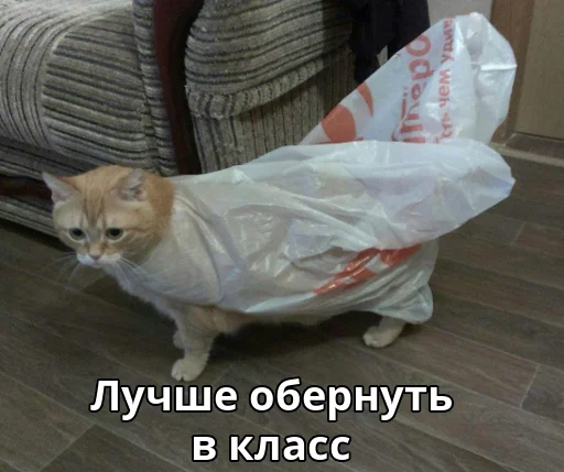 📦 Стикер «Котики ревьюверы» для Telegram