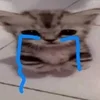 🌟 Эмодзи «kittens» для Telegram