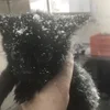 🌟 Эмодзи «kittens» для Telegram