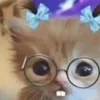 🌟 Эмодзи «kittens» для Telegram