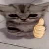 🌟 Эмодзи «kittens» для Telegram