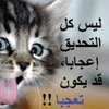 🌟 Эмодзи «kittens» для Telegram