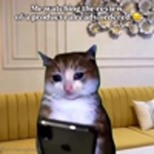 😭 Эмодзи «Cutie Cats» для Telegram