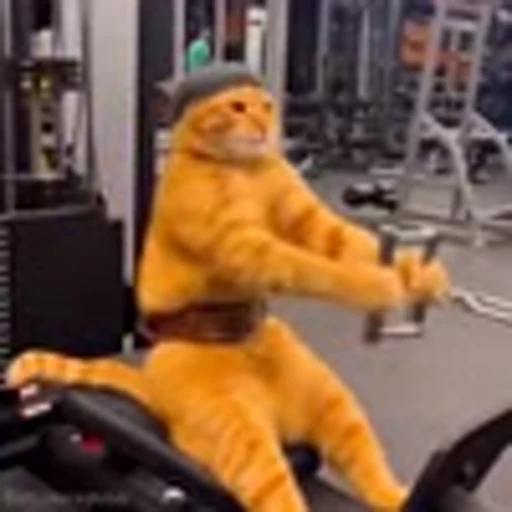 💪 Эмодзи «Cutie Cats» для Telegram