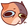 😐 Эмодзи «Cat Motions 2» для Telegram